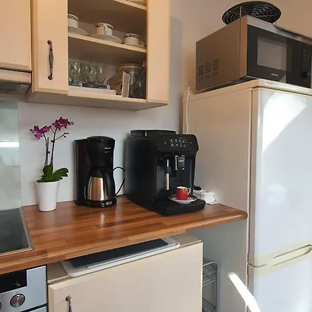 Apartment Ferienwohnung Berg View Mit 3 Schlafzimmern