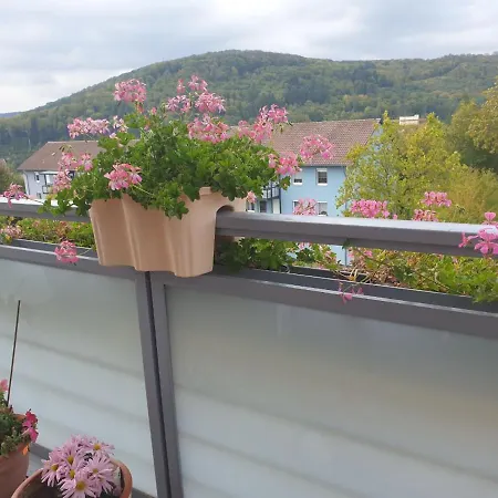 Apartment Ferienwohnung Berg View Mit 3 Schlafzimmern *